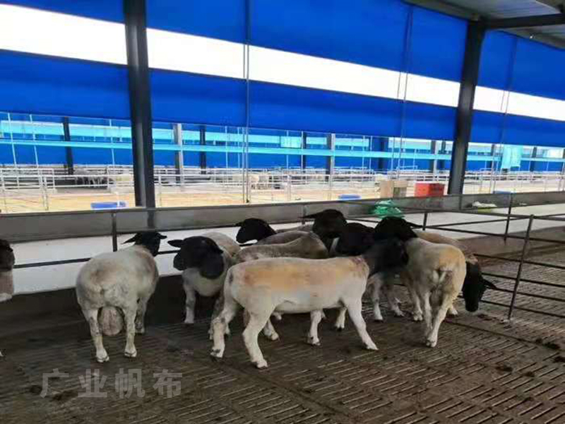 羊場卷簾布